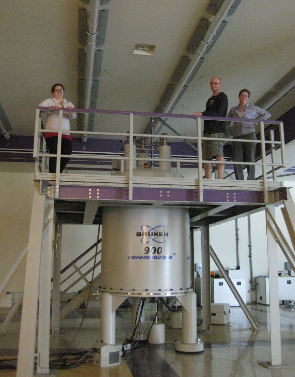 On the 900 MHz NMR at Scripps, 2012